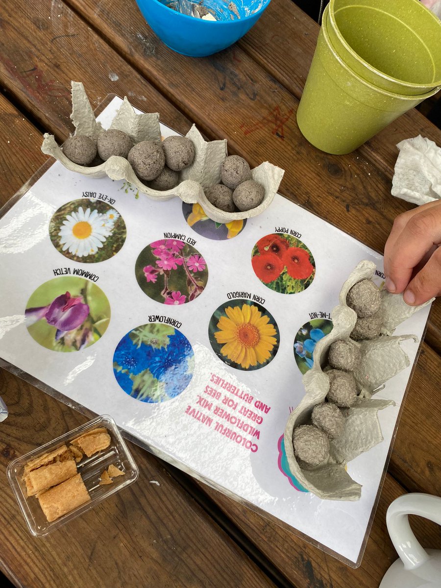 CourtneyPEEK tweet media