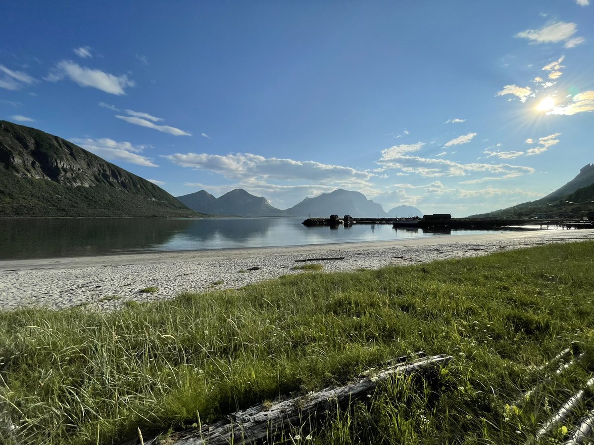 crpm2003's tweet photo. The last week for me has been a roadtrip from Narvik->Trondheim, Norway with a school friend. It was an adventure to say the least, but I picked up some good birds inc 2 eagle sp, Waxwing, LT Skua + Black Woodpecker &amp; many new breeding sp for me. A place I need to explore more! https://t.co/cdWV0pZLuB