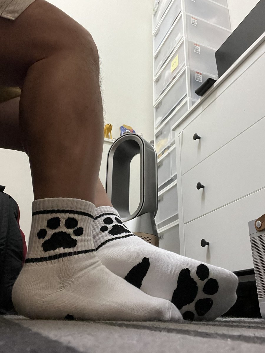 誰要來腳邊蹭蹭😏