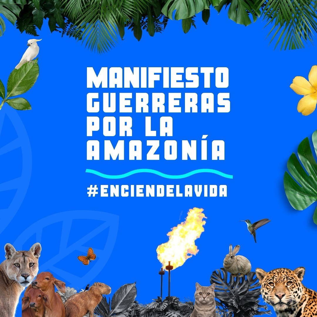 colmena_lab's tweet photo. Los mecheros petroleros de todo el mundo expulsaron 347 millones de CO2, el año pasado. La erradicación de los mecheros es vital para mitigar los impactos de la crisis climática. Los estados del mundo, desde los Acuerdos de París se han comprometido con eliminarlos poco a poco. https://t.co/OjqOnHPXto