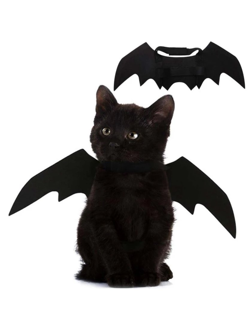 marshmelleww's tweet photo. to meio que viciada em procurar roupa de gatinho na shein, quero comprar todas😭😭 https://t.co/8yuYuTTuS1