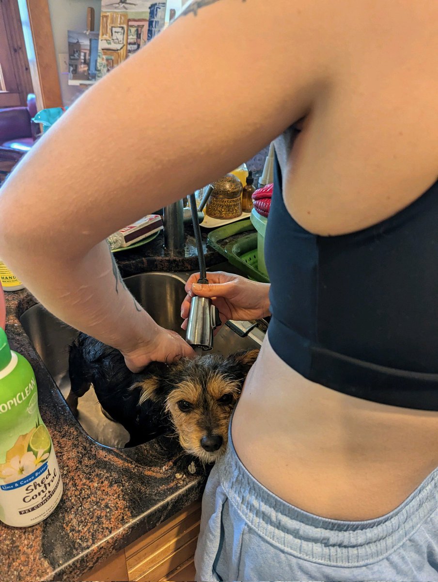 kittytoofluvr's tweet photo. Griz man https://t.co/Z5RnalGIF5