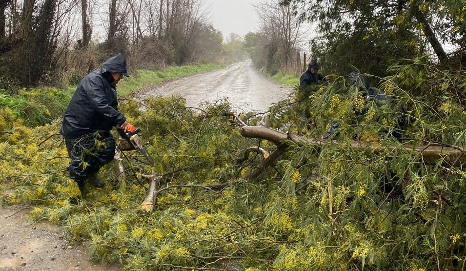 radioisadorafm's tweet photo. Caída de árboles,voladura de techumbres y corte de energía eléctrica deja el sistema frontal. Intenso despliegue ha tenido el equipo de la Municipalidad de San Nicolás,así como voluntarios de Bomberos de San Nicolás y del Retén de Carabineros en apoyo a los principales afectados. https://t.co/oWIbopy8g1