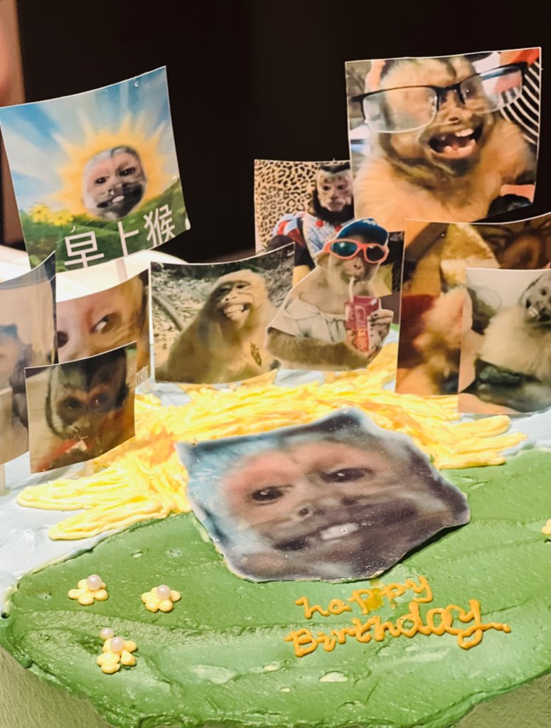 LittlePoint tweet media