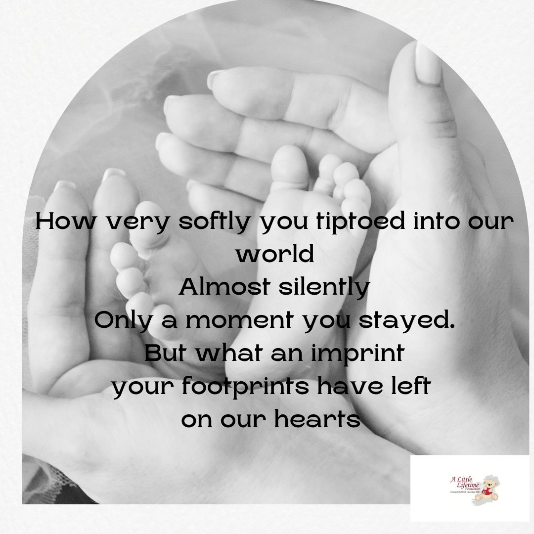 A Little Lifetime (@alittlelifetime) on Twitter photo 