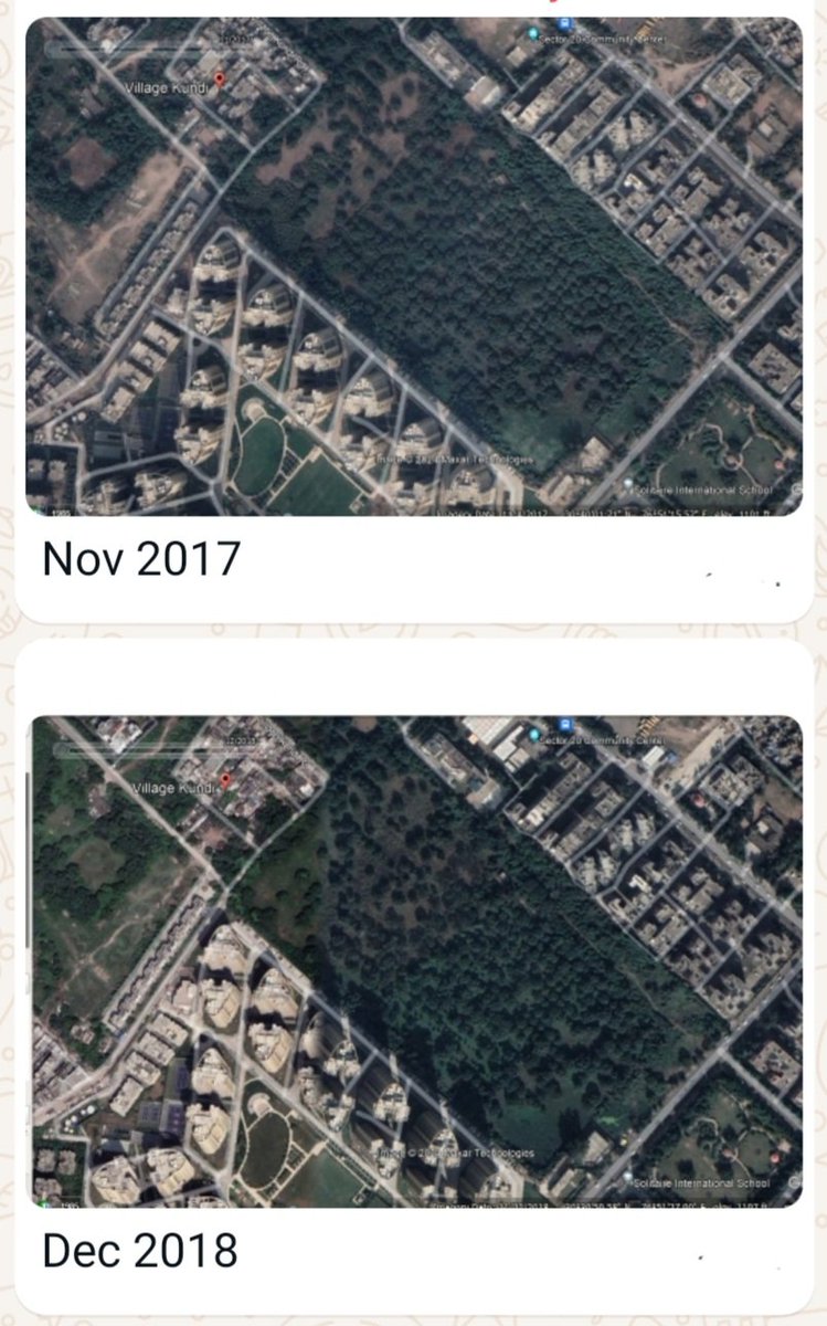 replyakhil's tweet photo. CM WINDOW COMPLAINT
Investigate Population Density &amp; amenities by @dtcphry to support overloaded Sector-20, #Panchkula before any expansion.

50+ yrs old trees axing, destroying Peacock house &amp; fruit bearing #MangoOrchard for a multi Storey by @HsvpHaryana
👇Pics tell the story https://t.co/IigWBxalVc