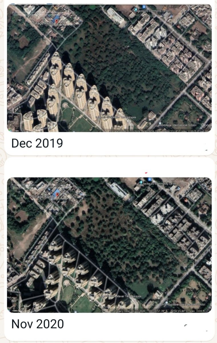 replyakhil's tweet photo. CM WINDOW COMPLAINT
Investigate Population Density &amp; amenities by @dtcphry to support overloaded Sector-20, #Panchkula before any expansion.

50+ yrs old trees axing, destroying Peacock house &amp; fruit bearing #MangoOrchard for a multi Storey by @HsvpHaryana
👇Pics tell the story https://t.co/IigWBxalVc