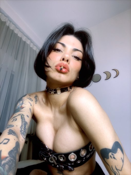 morgmuse