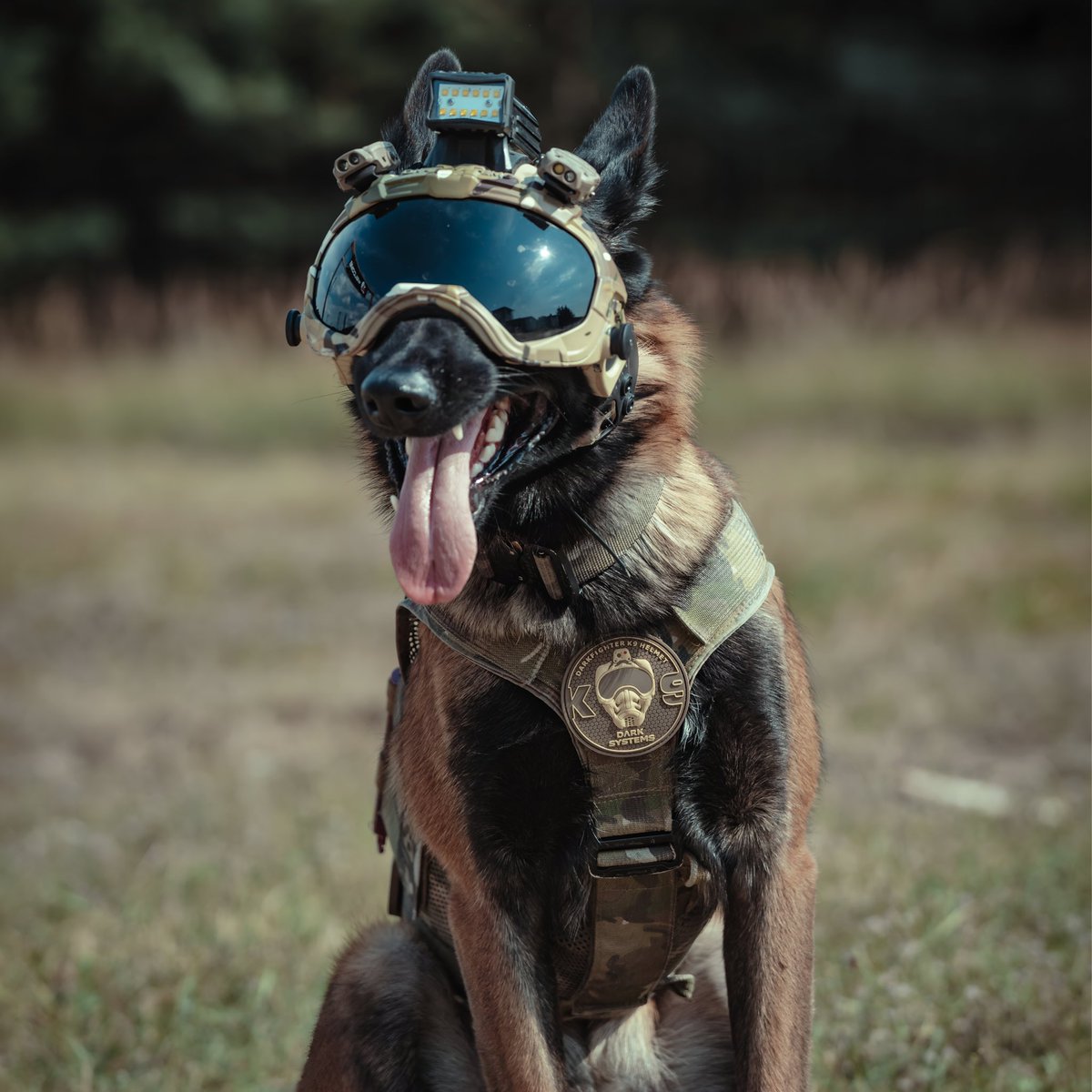 darksystemsnews's tweet photo. #k9helmet #k9 #k9unit #police #swat #army https://t.co/c9eKGHDEEW