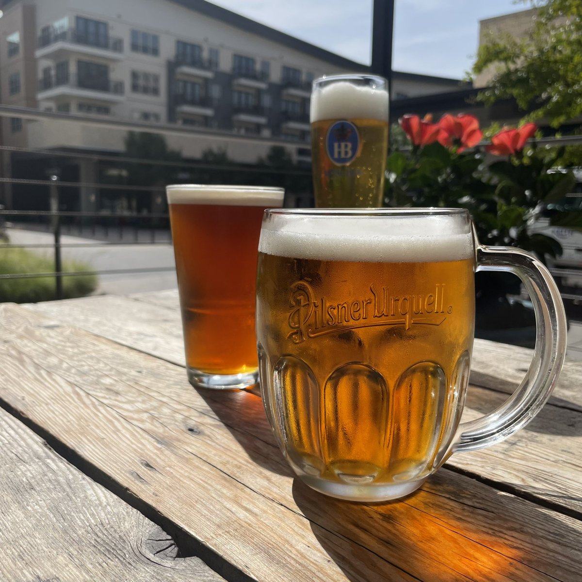 Thegingermantx's tweet photo. What a better place to celebrate international beer day than with us at The Ginger Man Journey around the world with a cold beer at the place that specializes in worldly beer!!🍺 🌎 Plenty of options from draught to bottle you’ll be sure to find something unique and international https://t.co/crXDnQC2XU