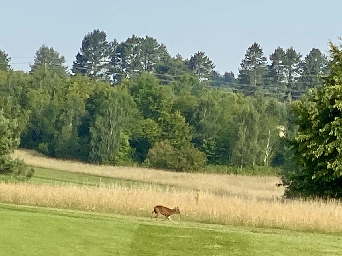 James Morgan tweet media