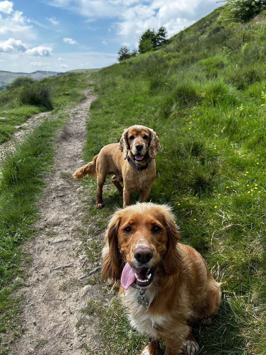 MissRDHarry tweet media