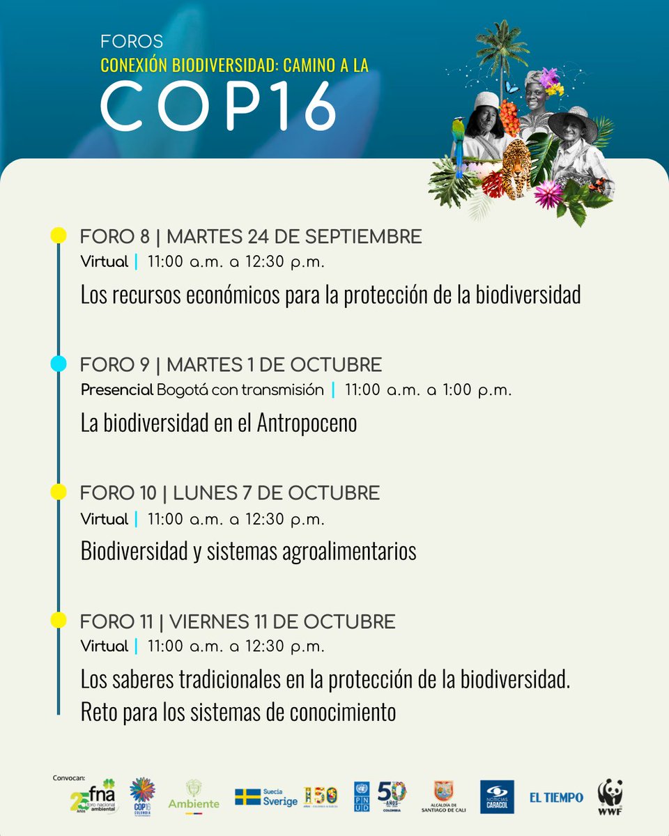 PnudColombia's tweet photo. 🗓️ Participa e inscríbete en los Foros #FNAconexiónBioCOP16 del 14 de agosto al 2 de noviembre y explora temas cruciales como la Biodiversidad, el Desarrollo, la naturaleza, las comunidades y muchos más 🌎🌿

¡Participar es gratis! 👉🏾 https://t.co/lZdpDZeqMY https://t.co/LT8yOi9Y1z
