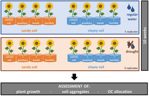 Soil Use and Management (@sumjournal) on Twitter photo ***NEW*** #OpenAccess
From waste to #soil: Can we create functioning manufactured soils by recycling rock processing waste?
Bucka, Guigue, Reifschneider, Pihlap et al. 🇩🇪🇳🇱🇸🇪
<a href="/FranziBucka/">Franziska Bucka</a> <a href="/J_Guigue/">Julien Guigue</a> <a href="/EvelinPihlap/">Evelin</a> <a href="/NoeNoeliaga/">Noelia Garcia-Franco</a>
@AlixVidal3 <a href="/_SLU/">SLU</a> <a href="/WUR/">Wageningen U&R</a>
doi.org/10.1111/sum.13… ***NEW*** #OpenAccess
From waste to #soil: Can we create functioning manufactured soils by recycling rock processing waste?
Bucka, Guigue, Reifschneider, Pihlap et al. 🇩🇪🇳🇱🇸🇪
<a href="/FranziBucka/">Franziska Bucka</a> <a href="/J_Guigue/">Julien Guigue</a> <a href="/EvelinPihlap/">Evelin</a> <a href="/NoeNoeliaga/">Noelia Garcia-Franco</a>
@AlixVidal3 <a href="/_SLU/">SLU</a> <a href="/WUR/">Wageningen U&R</a>
doi.org/10.1111/sum.13…