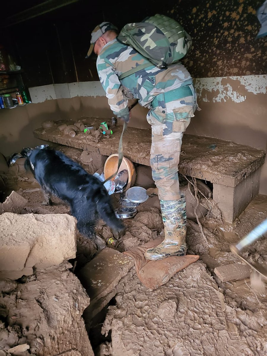 PRODefRjsthn's tweet image. Big Salute to &apos;Search &amp;amp; Rescue Specialists Army Dogs-
Jaki, Dixie &amp;amp; Sara&apos; 🪖🐶 🪖🐶
The #CanineWarriors relentlessly assist #wayanadrescueoperation to locate the hope of life buried in #WayanadLanslide 

@SpokespersonMoD
@artrac_ia @IaSouthern @NDRFHQ @SWComd_IA