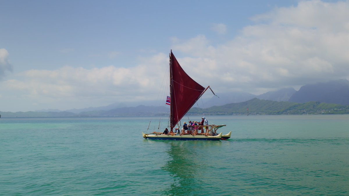 bofmcentral's tweet photo. Episode 6 of 'A Marvelous Work' dropped last Sunday! Join Scott Christopher and the crew as they film in Hawaii. Get an exclusive behind-the-scenes look with this preview, and don’t miss the full episode on the Book of Mormon Central YouTube channel.
#hawaii #oahu #bookofmormon https://t.co/B8eDxAtX6n