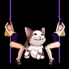 kleyba04's tweet photo. @DegenerateNews @bonk_inu @POPCATSOLANA @POPCATSOLANA we poppin...  it will never stop!! https://t.co/zoL23tIw7r