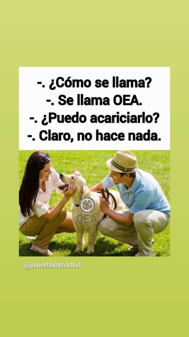 PLOMO PAREJO - OFICIAL (@plomoparejo) on Twitter photo 