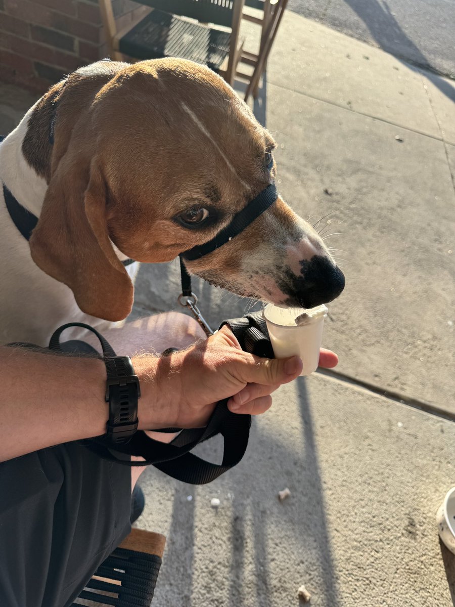 UrbanKidx4's tweet photo. @betsey_coffee 
Thanks for the great morning. Even got a a pup cup for Cooper.
#MoonHollowCoffee https://t.co/yGd4L5ro0S
