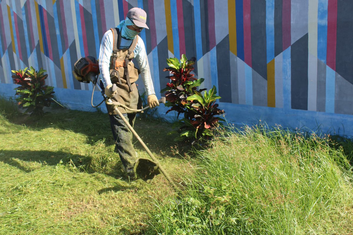 #2Ago Desde tempranito nuestros equipos de SERPUMAR realizan labores de limpieza, mantenimiento y embellecimiento en los alrededores del monumento Samán de Güere #MujeresPorLaPaz