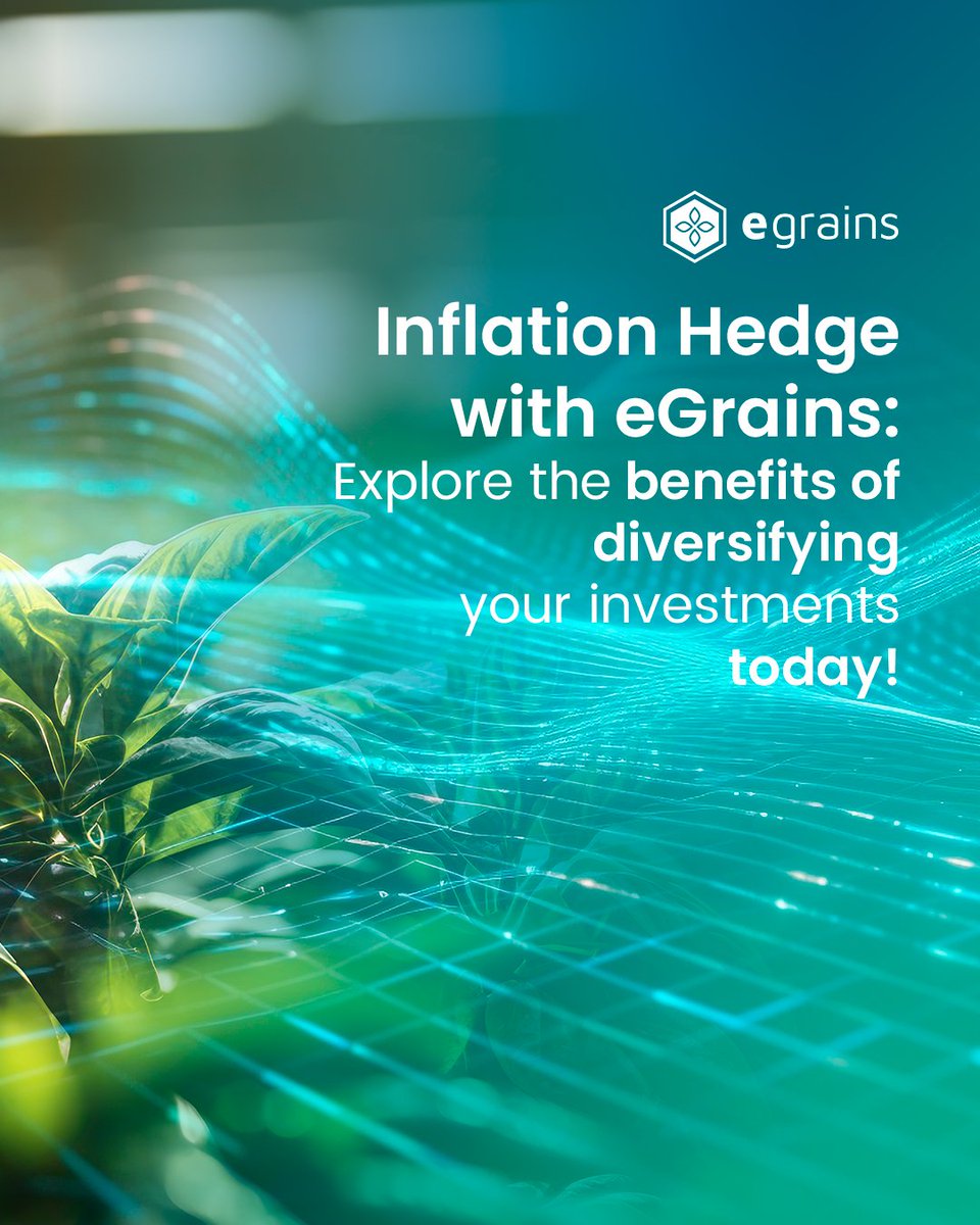 eGRAINS (hiring!) tweet media