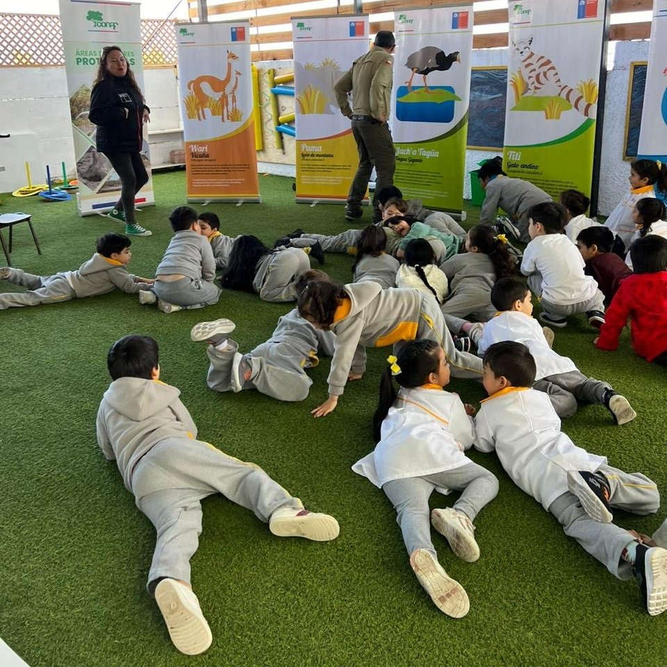 conaf_tarapaca's tweet photo. Visitamos la Escuela de Lenguaje Nuevo Inti para enseñar a sus alumnos sobre la fauna silvestre 🦩 que habita nuestra región, enmarcado en el proceso de Certificación Ambiental de Establecimientos Educacionales #SNCAE 🌎🌱 https://t.co/ugQf21G0Ej