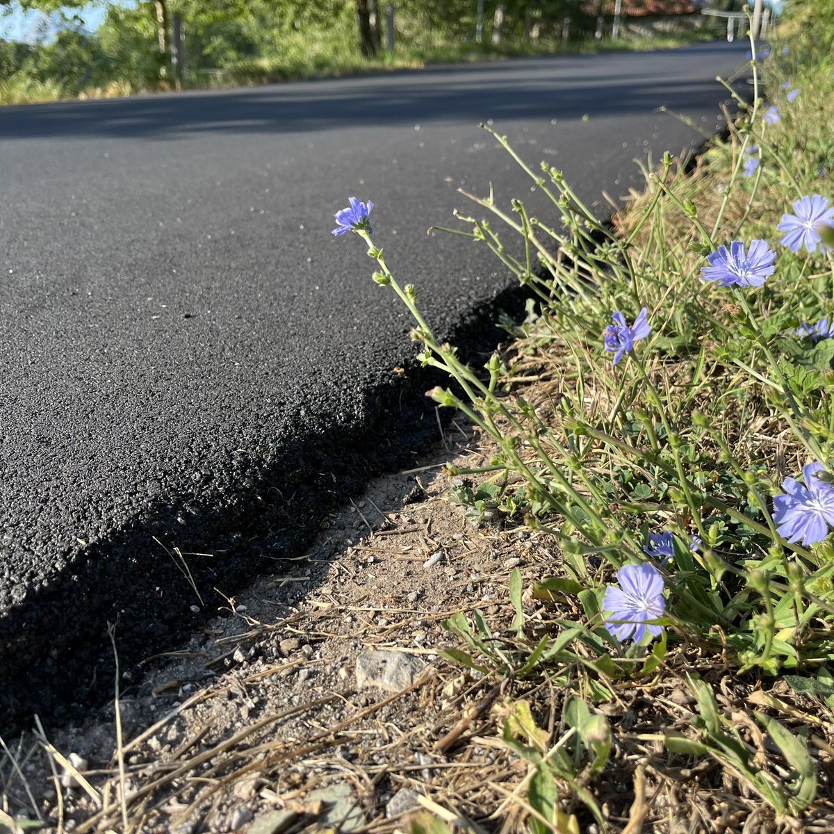 Simon Warren tweet media