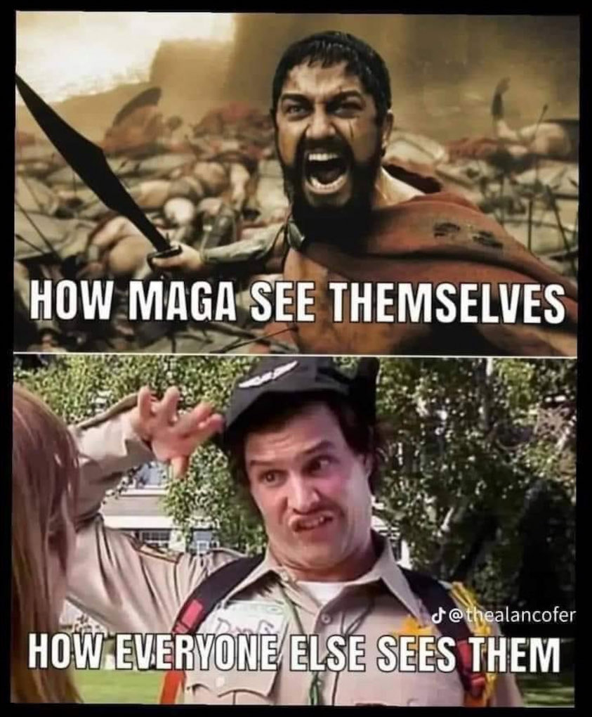 kangaroos991's tweet image. 🎯 Pass it on! 🤣🤣🤣