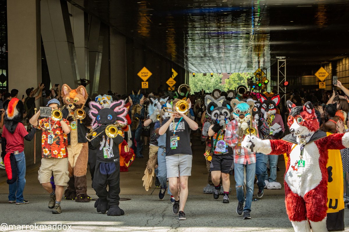 Spring Kibbins 🌺 🔜 AnthrOhio 2026 tweet media