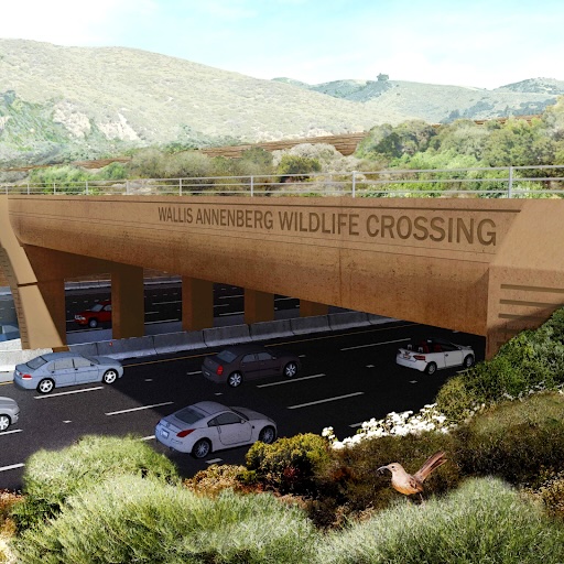 Join us for <a href="/101wildcrossing/">Wallis Annenberg Wildlife Crossing</a> Executive Team presentation on how they overcame barriers to successfully establish a state of the art wildlife crossing in the Santa Monica Mountains ecosystem. Register here: forms.gle/WvYsF5vteHVjeN…