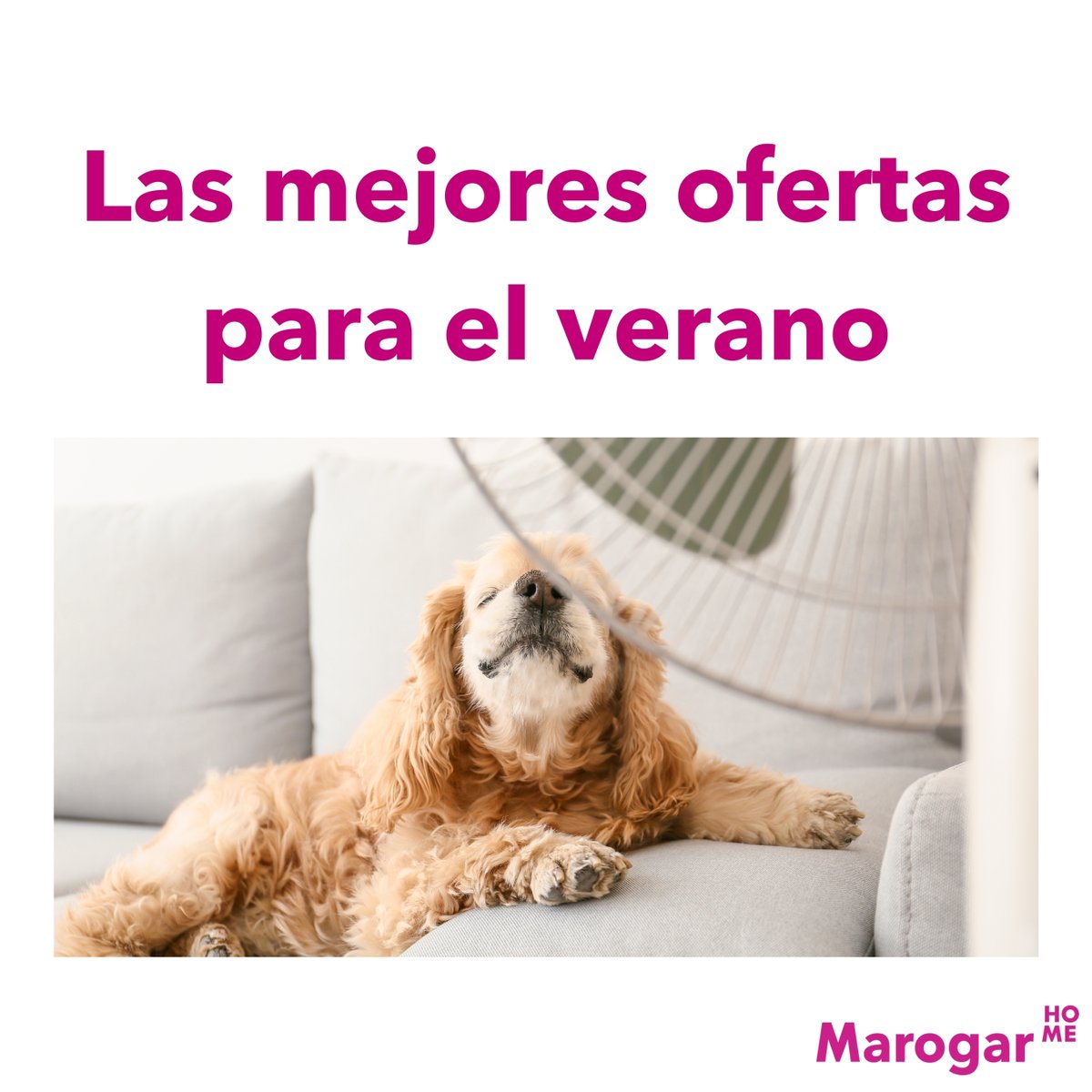 MarogarH's tweet photo. Este agosto todo lo que necesita tu hogar al mejor precio. ¡Descubre todos los descuentos en nuestra web!
https://t.co/m4tTbHI7gG
#ElectrodomesticosValencia #oladecalor #ventiladores #Verano2024 https://t.co/TcKvCmCK3Y