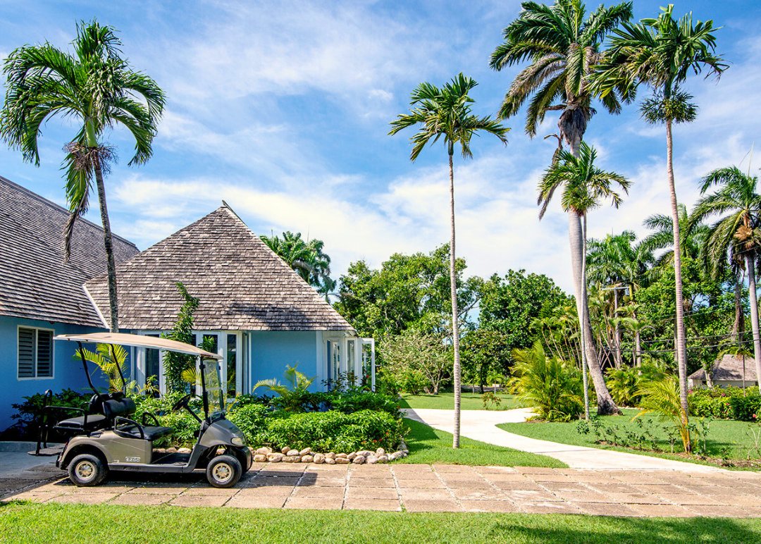 The Tryall Club tweet media