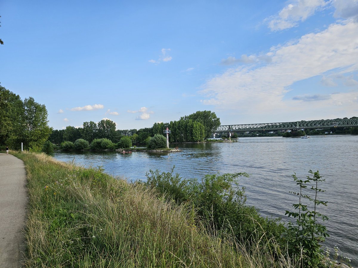 weidnermarkus's tweet photo. Radiostammtisch Wiesbaden heute mal direkt an der Mündung des Mains in den Rhein. https://t.co/V5XYvcfuGE