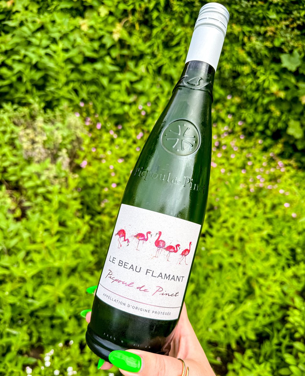 A bottle of Picpoul de Pinet is the perfect choice for a Friday night!⁠
⁠
A crisp, dry white with zesty notes and a refreshing finish pairs nicely with our Thai king prawn &amp; mango salad🍴⁠
⁠
#DogAndDoubletSandon #Stafford