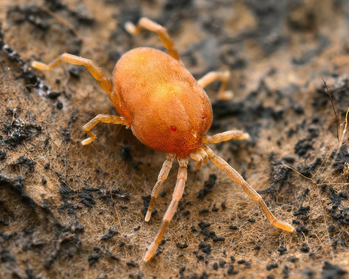 Marshal Hedin tweet media