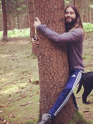 BigFatTreeMeme's tweet photo. I Love Big Fat Tree https://t.co/6cEvC2q6Cr