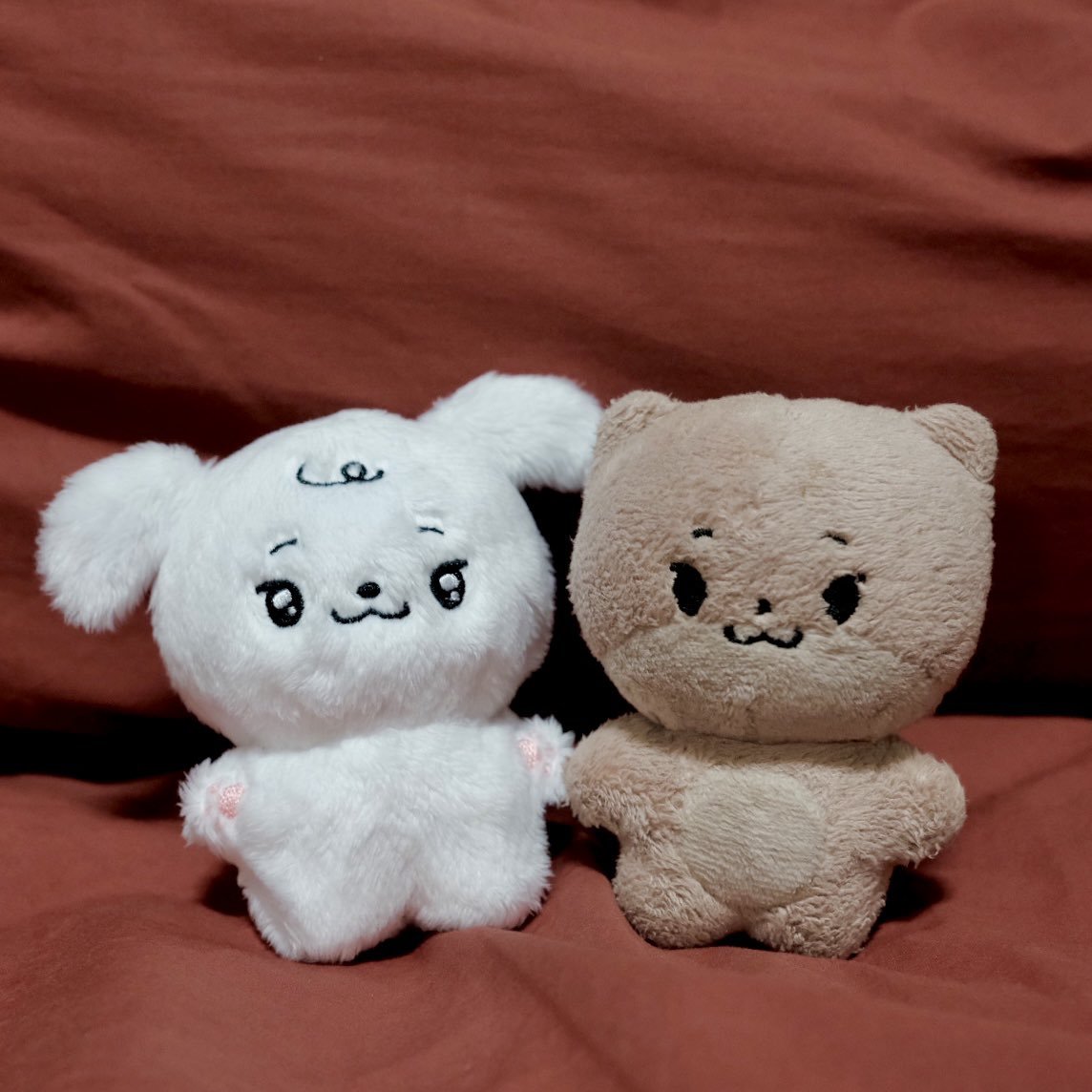 찬벼리 tweet media