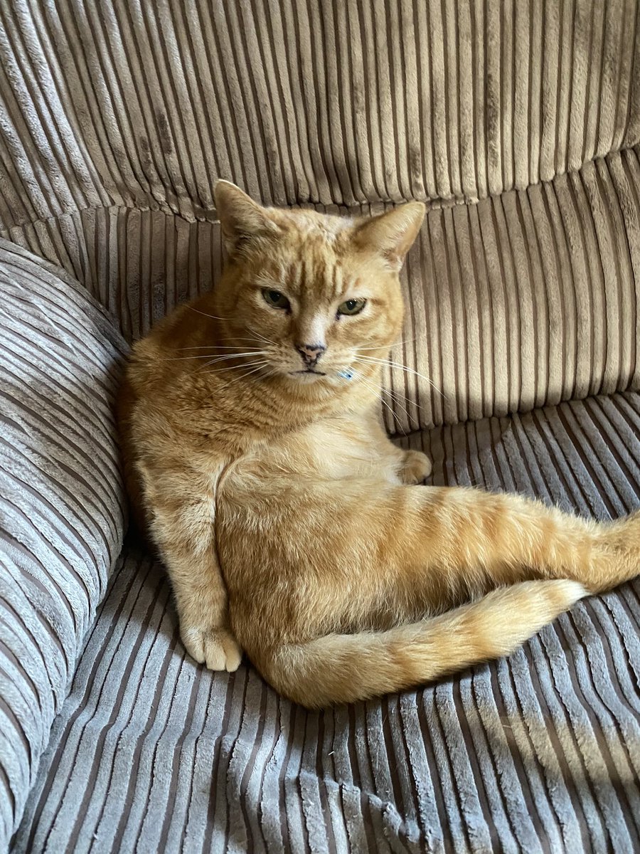 Amazing family time in Mexico overshadowed by yesterday’s loss of our Roger 💔

For 20 years this guy made EVERY single day better. He taught us about patience, affection, trust and fun. 

He was utterly unique and my best mate - and I miss him every second.

RIP gorgeous man xxx