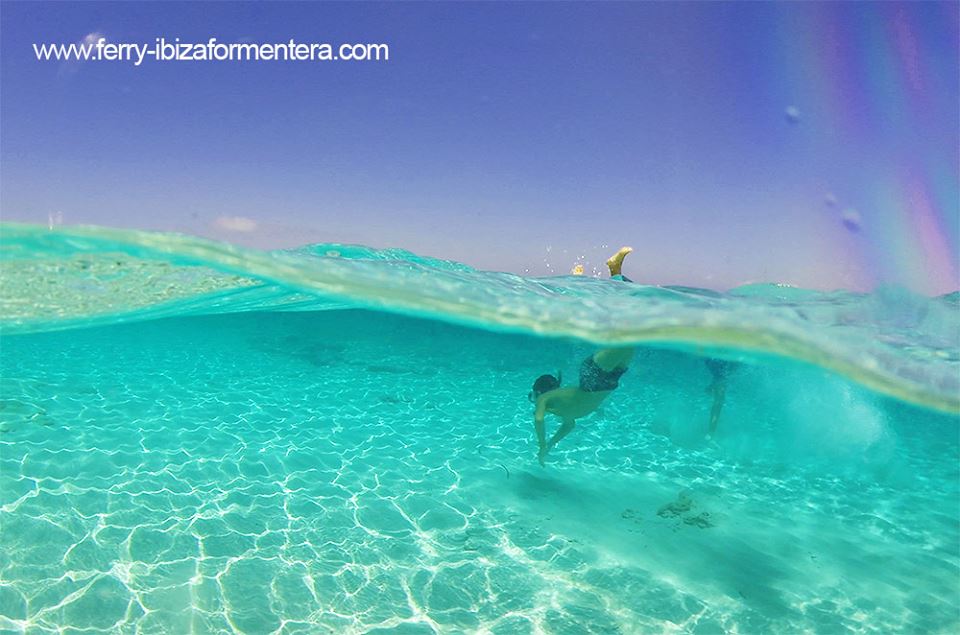 Formentera's tweet image. En agosto y en Formentera, mejor dentro del agua
ferry-ibizaformentera.com/es/index.php
#Formentera #fastferry #ferryTrasmapi #FastferryFormentera #FastFerryIbiza #TrasmapiFormentera #TrasmapiIbiza #FerryFormentera #FerryIbiza #FerryIbizaFormentera #Eivissa #PuertodeIbiza #PuertodeFormentera