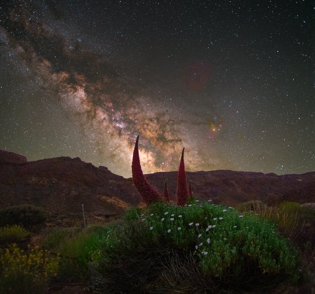 Tajinaste and the Milky Way

Tenerife May 2022