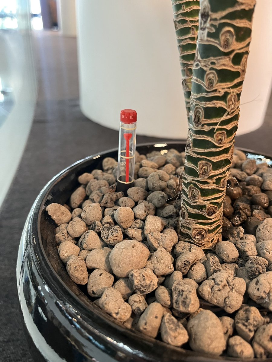 Simon Bains tweet media