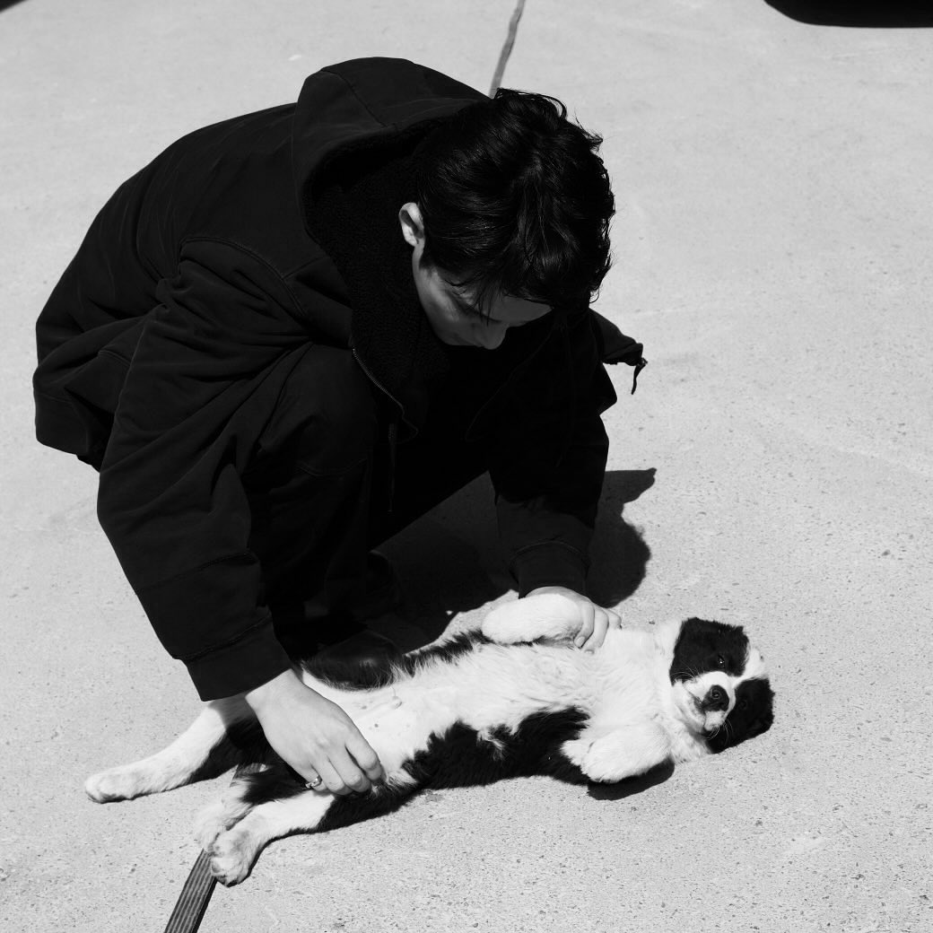 unnotee's tweet image. ⠀⠀

Eu quase me tornei um criminoso no dia de hoje. Essa coisinha ficou oferendo a barriga e eu pensei seriamente em levar embora, ignorando totalmente o fato de ter dono. Quem resiste? ⠀⠀
⠀