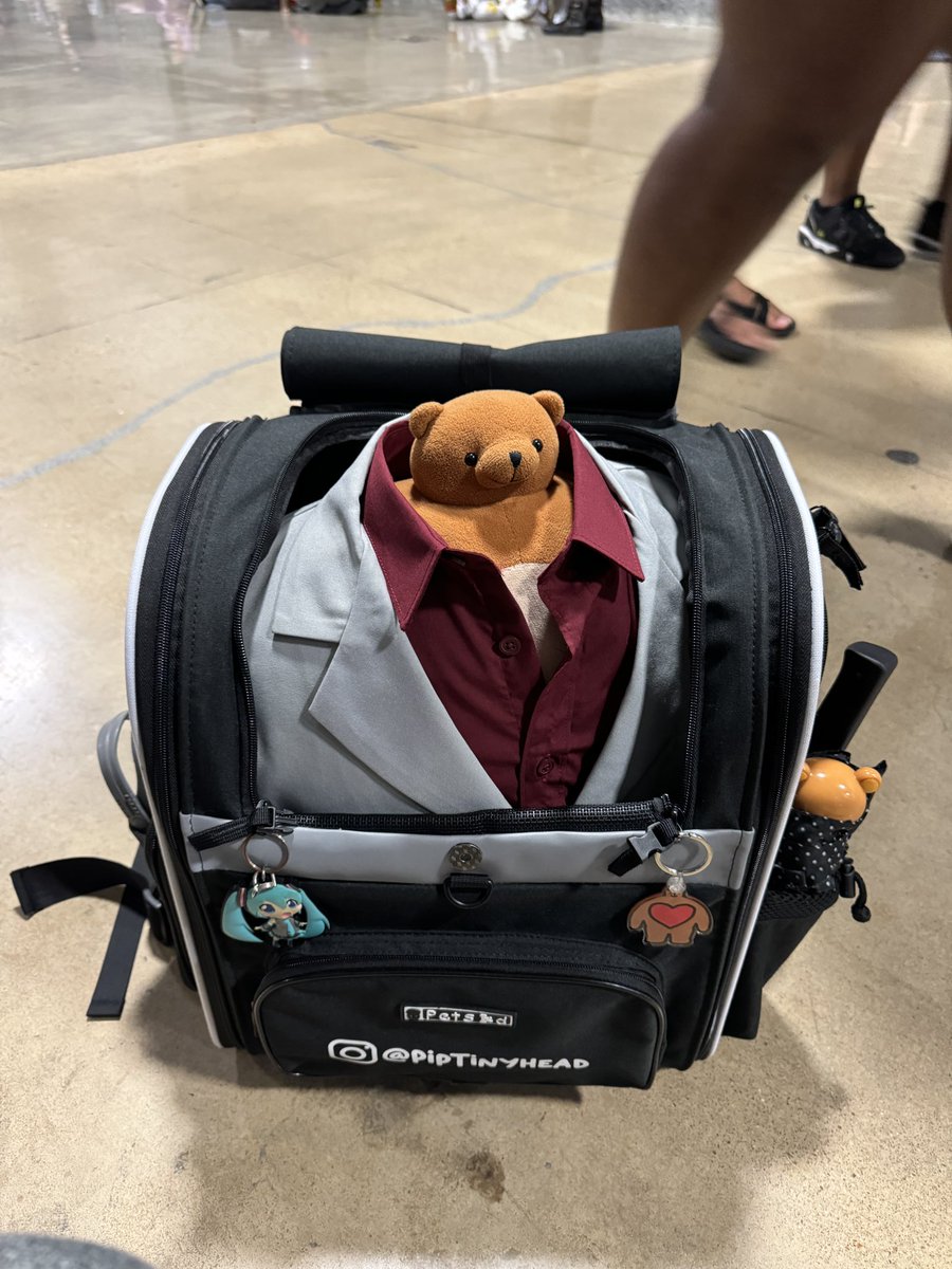 Pip Tinyhead 🧸💕 tweet media