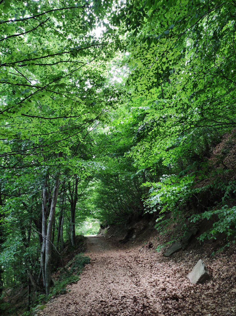 Bütün yolculuk boyunca hasret ayrılmadı benden
Zaten elimde ne kaldı bu yolculuktan
hasretten gayrı

Nazım Hikmet