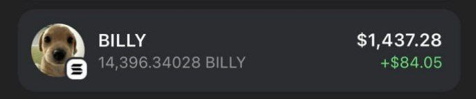 $BILLY PARODY NFT | CHEAP STEALTH MINT tweet media