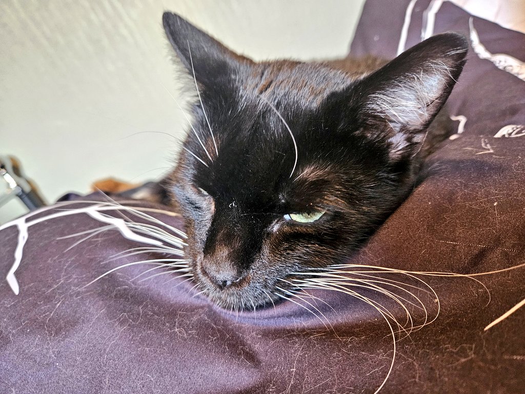 mumey says its litle brother daye tomorrow,,. she best be hecky joking..!
