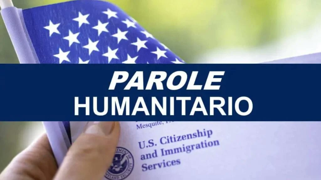 UHN Plus tweet media