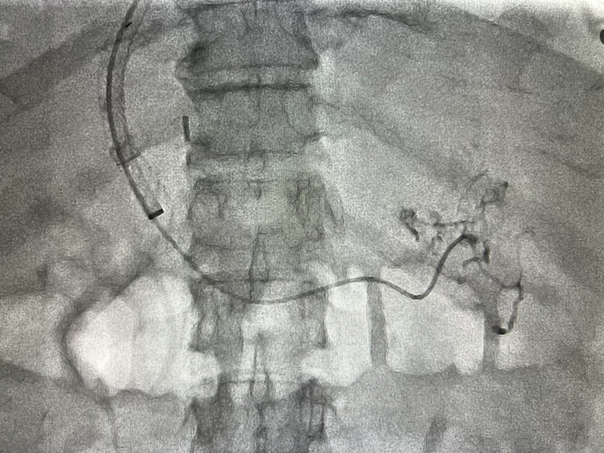 Harris Chengazi tweet media