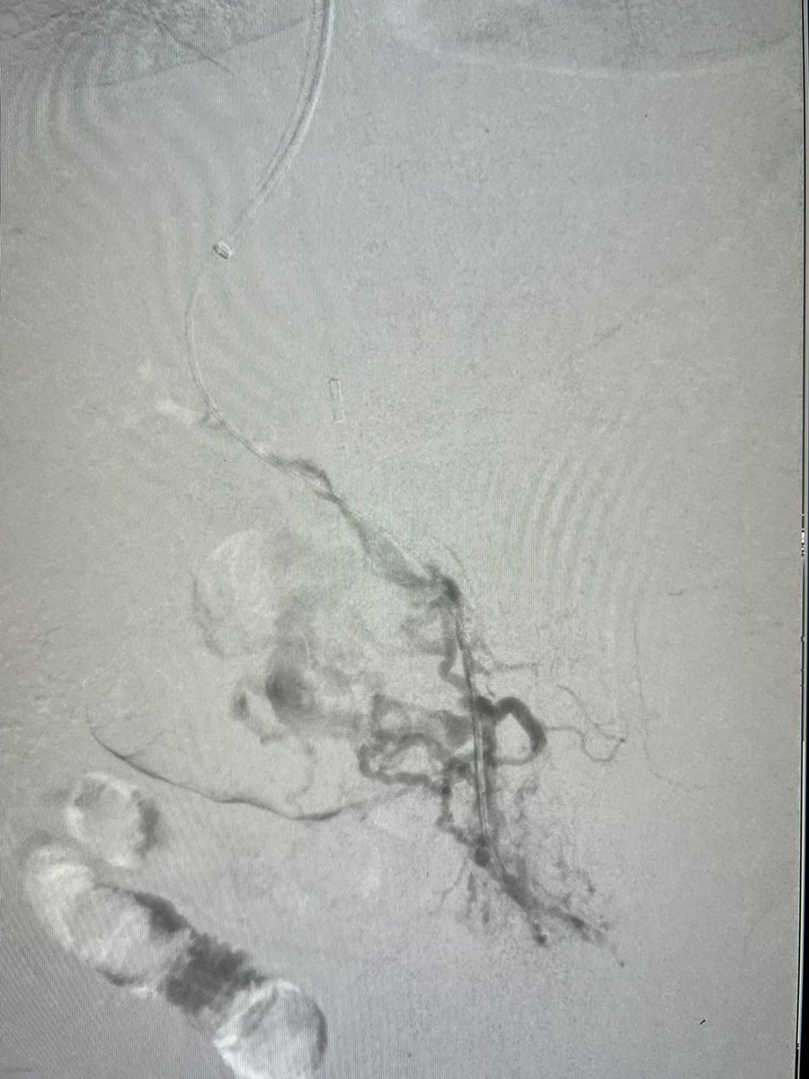 Harris Chengazi tweet media