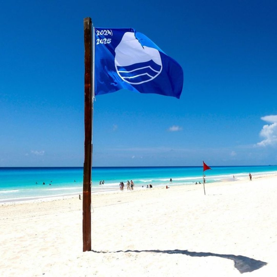 AHCancun's tweet photo. #QuinatanaRoo se ha convertido en el primer lugar nacional en certificaciones #BlueFlag, con 47 galardones para la temporada 2024-2025, 4 más que la temporada anterior.
Este galardón internacional destaca su compromiso con la calidad del agua, gestión ambiental y seguridad. 🌟🌴 https://t.co/cN0JAB2ZGQ